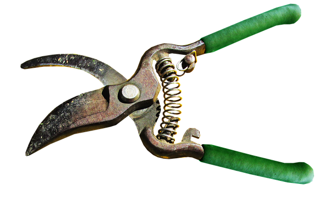 Tools Used For Pruning Trees