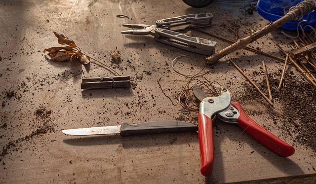 tools used for pruning trees